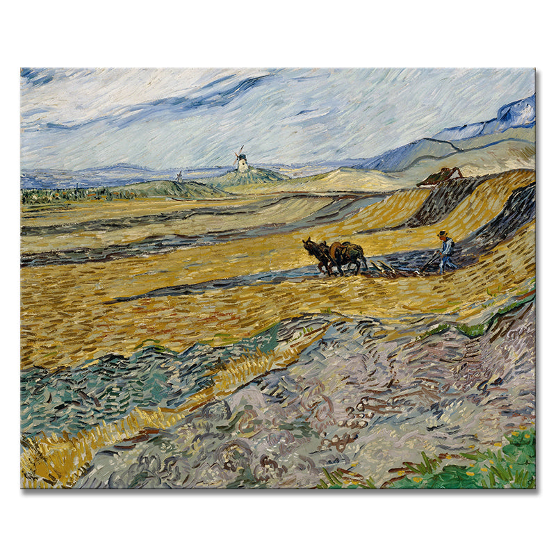 Van Gogh decorative paintings, niche art spray-painted hanging paintings, living room, dining room, entrance hall oil painting style art paintings, and homestay murals