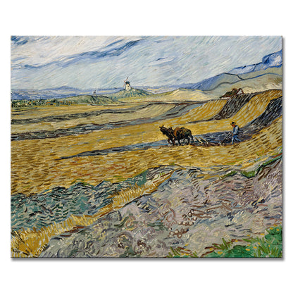 Van Gogh decorative paintings, niche art spray-painted hanging paintings, living room, dining room, entrance hall oil painting style art paintings, and homestay murals