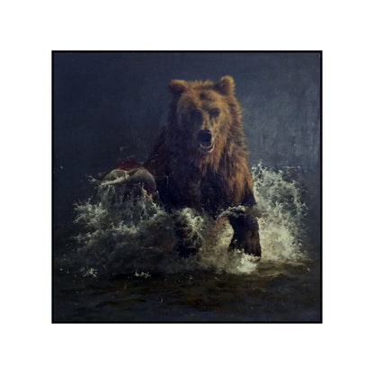 Brown Bear Animal