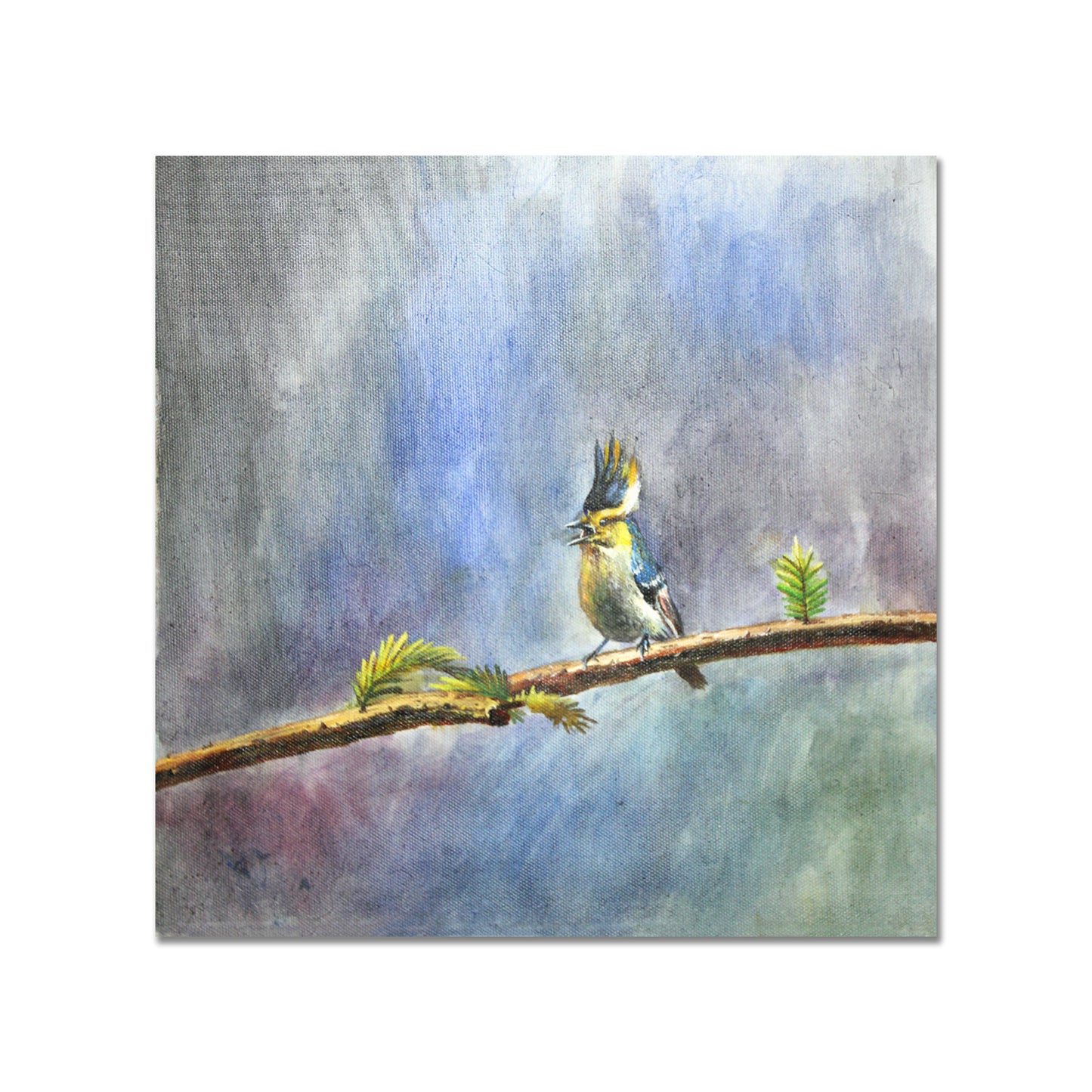 Bird Painting