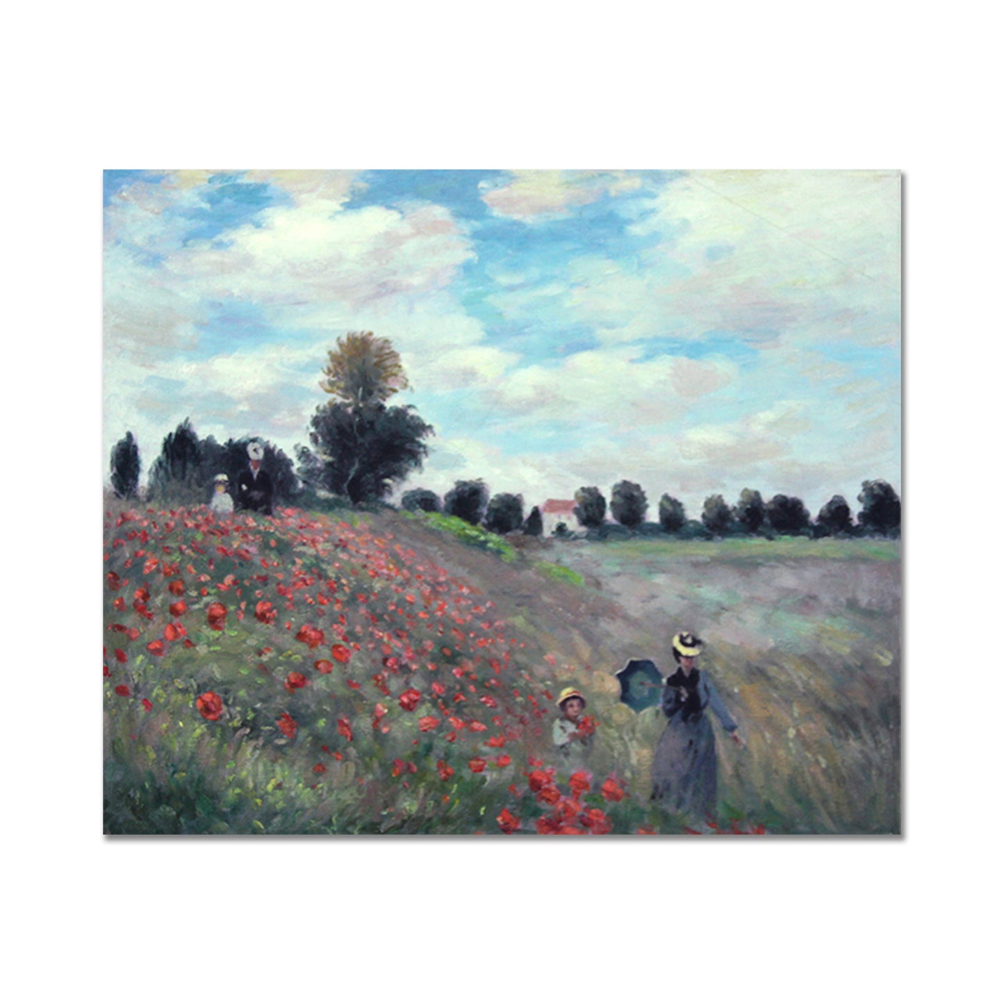 Poppy Oil Painting