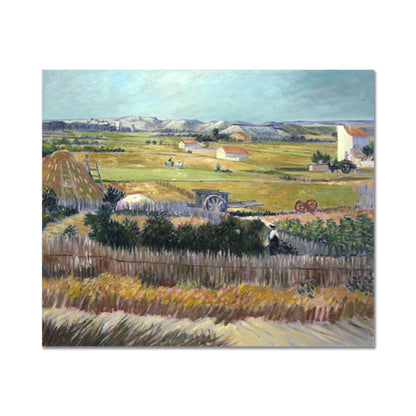 Harvest Landscape