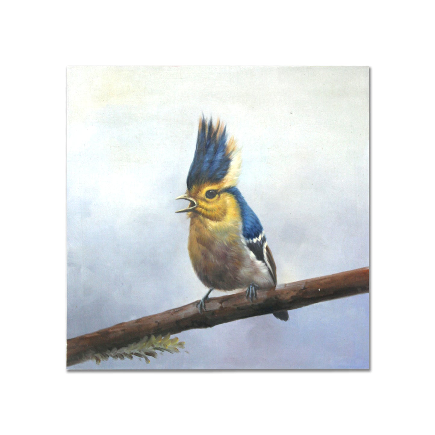 Bird Canvas Wall Art