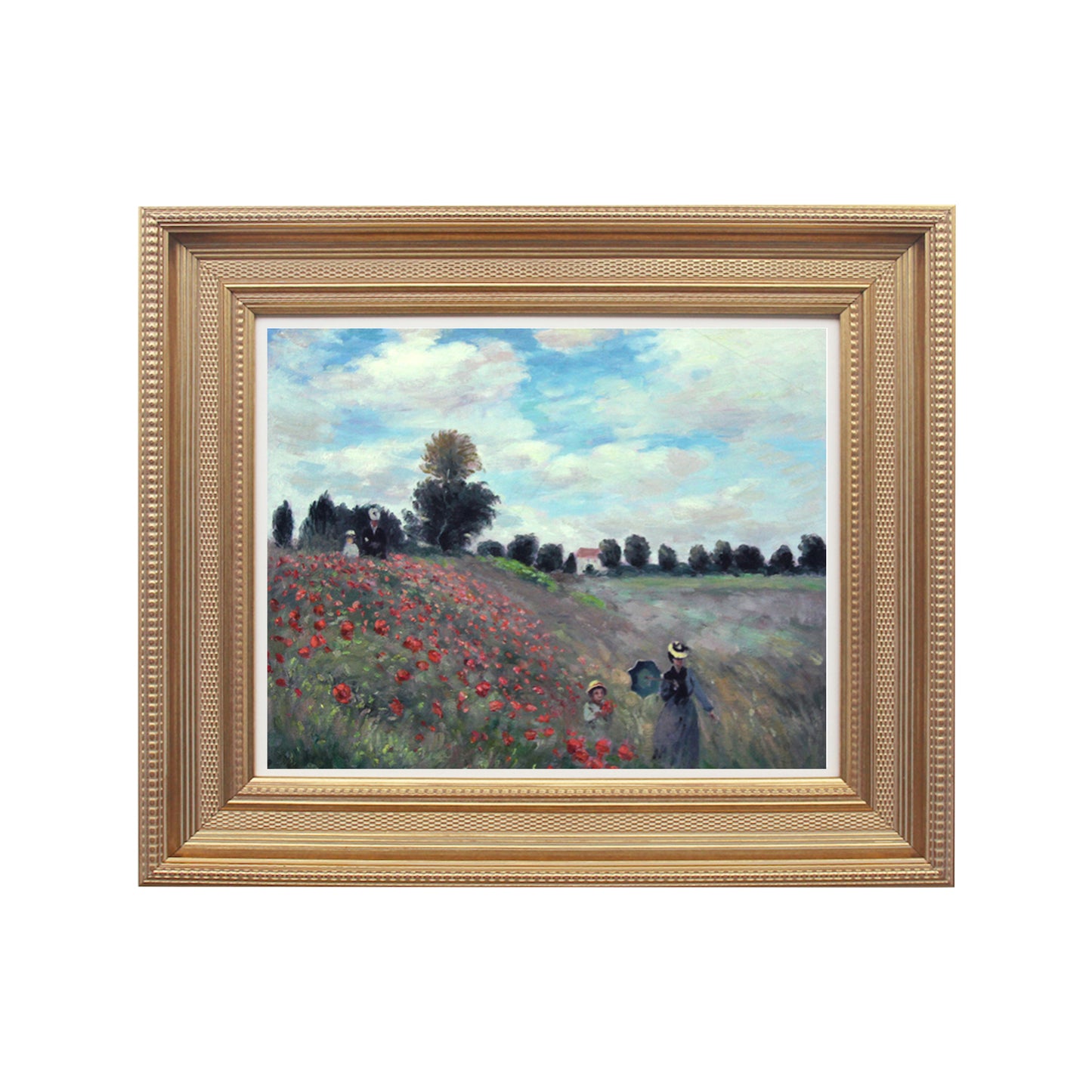 Poppy Oil Painting