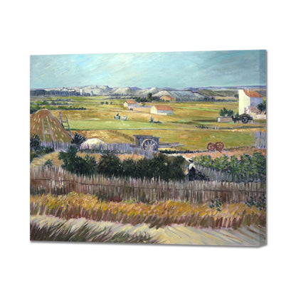 Harvest Landscape