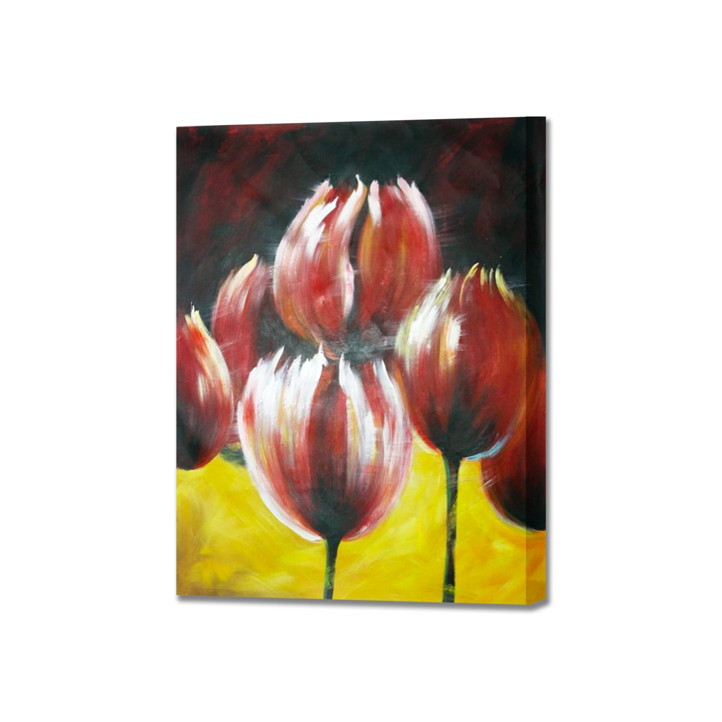 Red Impression Tulip