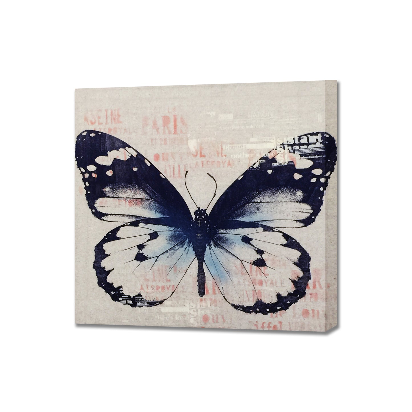 Vintage Butterfly Wall Art