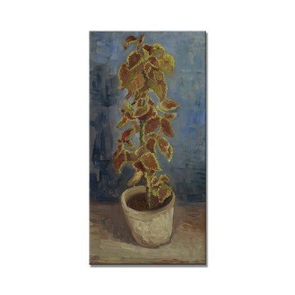 Van Gogh Flower Oil Painting Art Digital Download 1